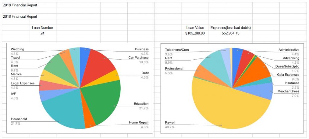 2018 Loan and Expense Information